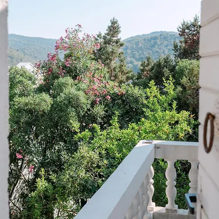 بيت للعطل Dzeba بوفليا